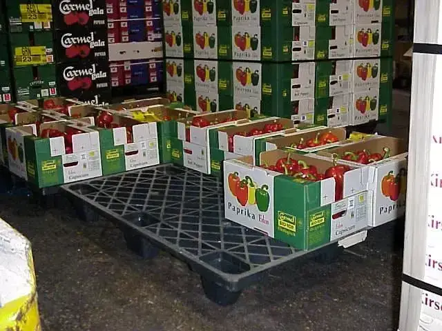 Pallet plástico 100x120x13 Encaixável, foto 4 de 4